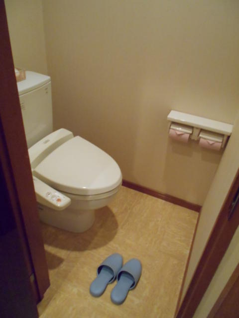 HOTEL Duex Resort(デューリゾート)(入間市/ラブホテル)の写真『203号室、トイレ』by もんが～