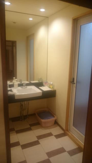 ホテル サミット(江東区/ラブホテル)の写真『206号室　洗面所風景（右がバスルーム入口、左にトイレ）』by YOSA69