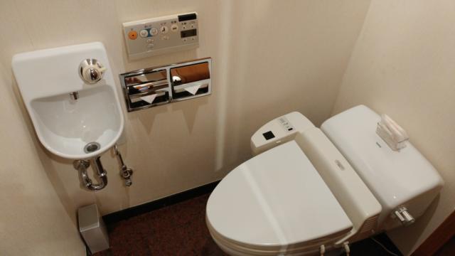 HOTEL  RIZE(リゼ)(さいたま市大宮区/ラブホテル)の写真『202号室 トイレ』by 来栖