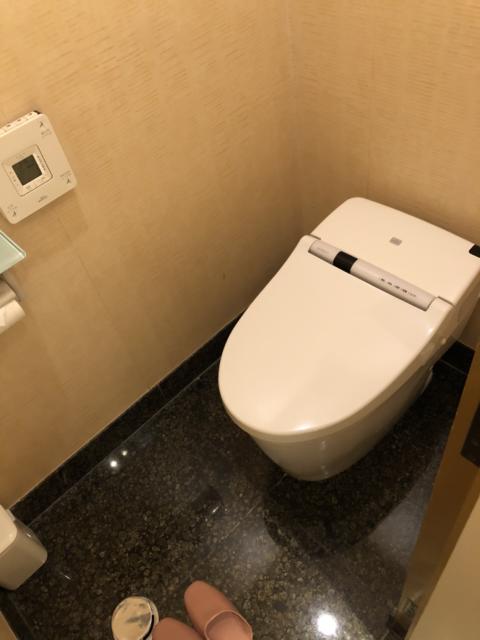 HOTEL Perrier(ペリエ)(新宿区/ラブホテル)の写真『309号室 トイレ』by サトナカ