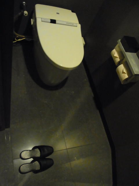 ホテルM(市川市/ラブホテル)の写真『305号室 トイレ』by ホテルレポったー