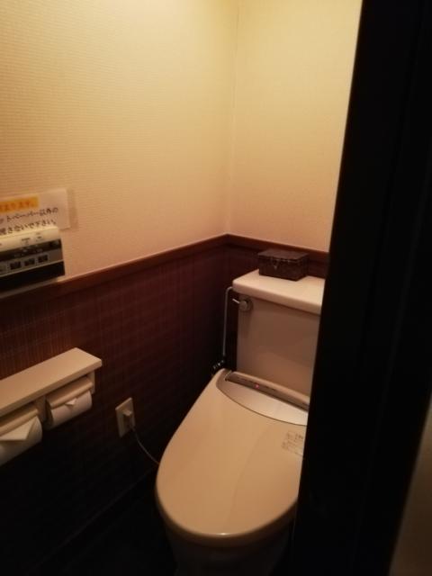 ホテル B-Girl(荒川区/ラブホテル)の写真『703号室　トイレ』by ところてんえもん