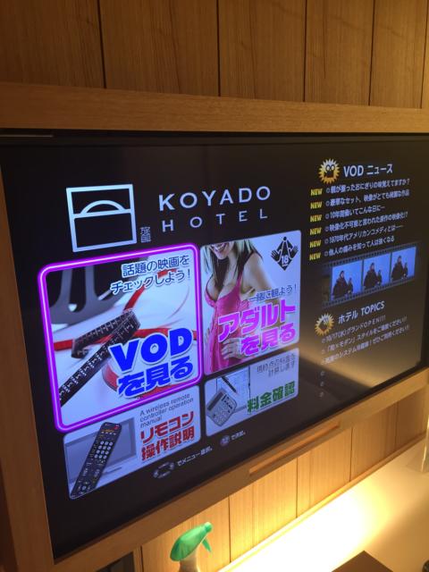 KOYADO HOTEL(台東区/ラブホテル)の写真『5番 テレビ』by ちげ