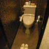 ホテル アラウダ 千葉北(千葉市花見川区/ラブホテル)の写真『204号室 トイレ』by ホテルレポったー