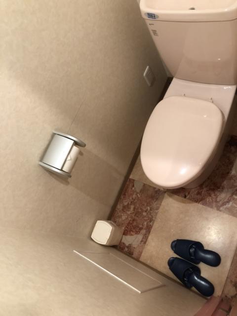 ホテル メープル(豊島区/ラブホテル)の写真『メープル702号室のトイレ』by beat takeshi