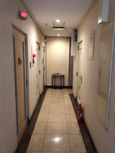 HOTEL EXCELLENT(エクセレント)(新宿区/ラブホテル)の写真『2階 廊下』by サトナカ