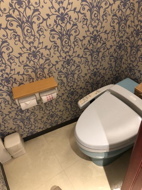 HOTEL EXCELLENT(エクセレント)(新宿区/ラブホテル)の写真『203号室 トイレ』by サトナカ