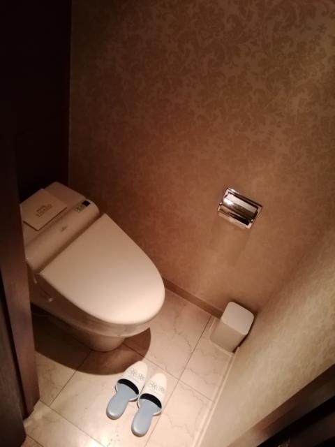 VIGADO（ビガド）(横浜市西区/ラブホテル)の写真『202号室利用。トイレです。』by キジ