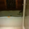 HOTEL GRASSINO URBAN RESORT(立川市/ラブホテル)の写真『303号室 玄関を開けると風呂。』by 140キロの坊主