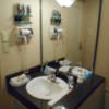 HOTEL Carib(カリブ)(横浜市旭区/ラブホテル)の写真『505号室、洗面所』by もんが～