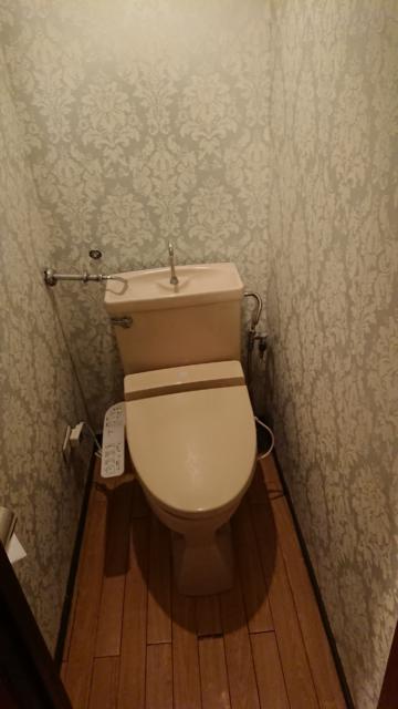 ニューヨーク(武蔵野市/ラブホテル)の写真『203号室、トイレ』by ビデ三郎