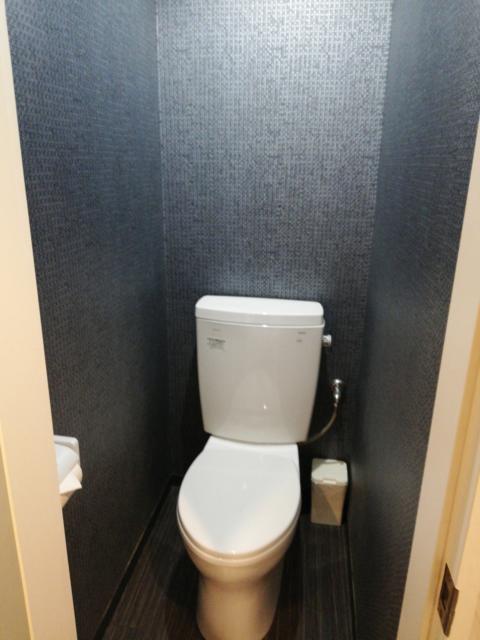 HOTEL アムール(台東区/ラブホテル)の写真『トイレはウォシュレットなしです（305号室)』by 愛だけでできている