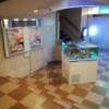 アクアブルー横須賀(横須賀市/ラブホテル)の写真『303号室利用。入口を入ると半地下にロビーがあり、熱帯魚が泳いでいます。』by キジ