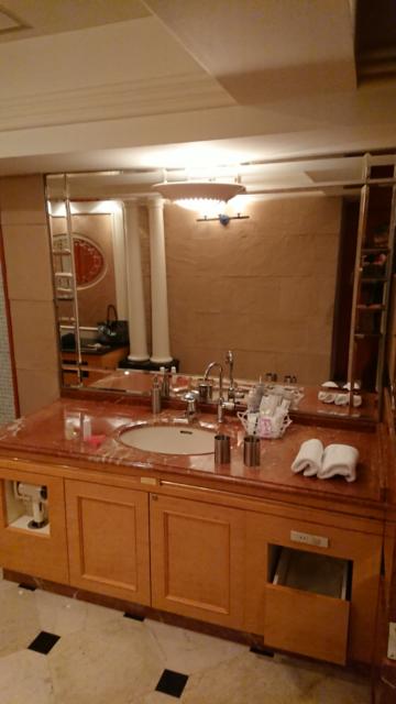HOTEL TIFFARD（ティファード）(新宿区/ラブホテル)の写真『315号室、洗面台』by ビデ三郎