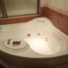 HOTEL TIFFARD（ティファード）(新宿区/ラブホテル)の写真『315号室、風呂場。正面奥はミストサウナ』by ビデ三郎