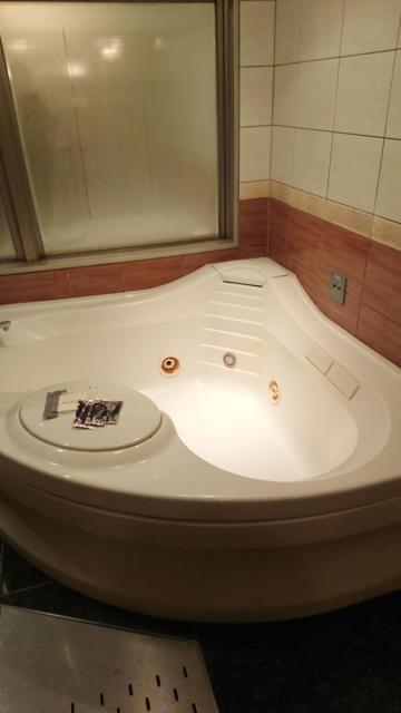 HOTEL TIFFARD（ティファード）(新宿区/ラブホテル)の写真『315号室、風呂場。正面奥はミストサウナ』by ビデ三郎