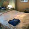 ホテル セリーヌ(大阪市/ラブホテル)の写真『307号室ベッドルームのダブルベット。』by PINK SCORPION