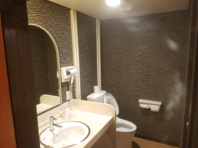 HOTEL TIFFANY（ティファニー）(名古屋市中村区/ラブホテル)の写真『208号室洗面所、トイレは個室になっていない』by 洋平君