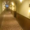 ホテル バリアンリゾート錦糸町店(墨田区/ラブホテル)の写真『３階廊下の景色』by YOSA69