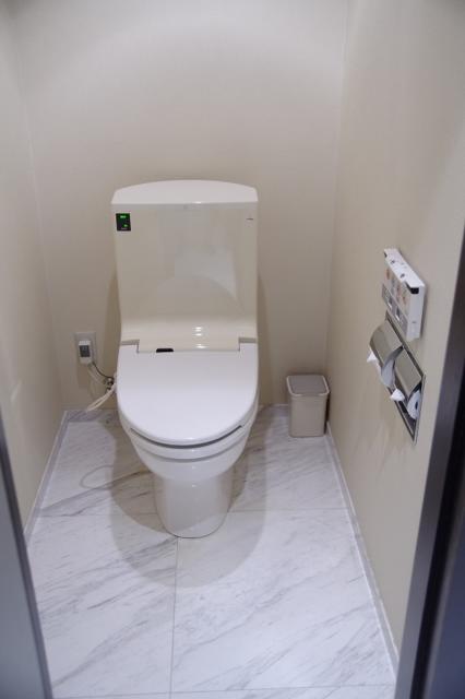 ホテルレイ(豊島区/ラブホテル)の写真『651号室　洗浄機能付きトイレ』by マーケンワン