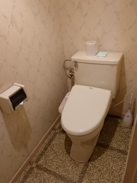 ザ・スターホテル(名古屋市中村区/ラブホテル)の写真『605号室トイレ』by エロスギ紳士