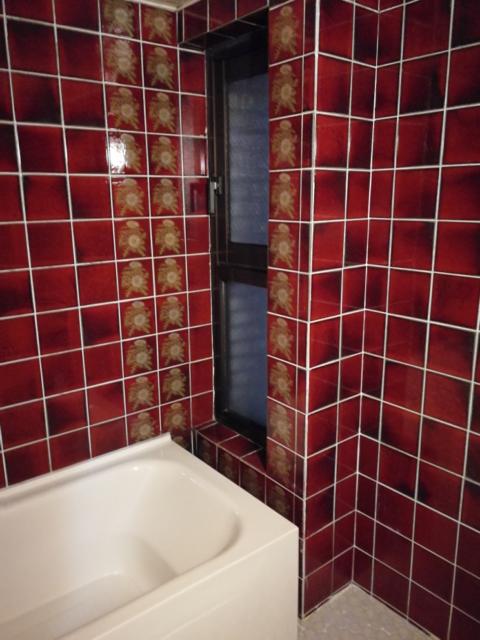 ザ・スターホテル(名古屋市中村区/ラブホテル)の写真『605号室バスルーム１』by エロスギ紳士