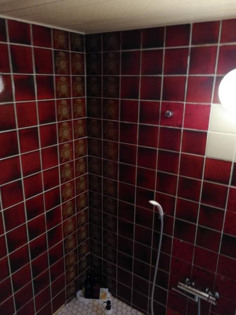 ザ・スターホテル(名古屋市中村区/ラブホテル)の写真『605号室バスルーム３』by エロスギ紳士