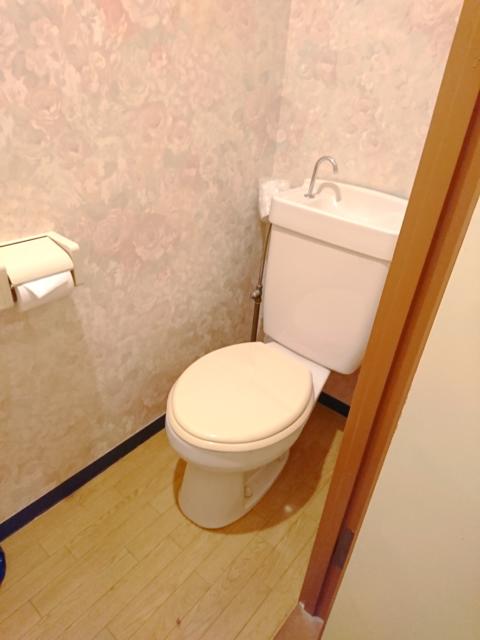 ホテル ナポリ(豊島区/ラブホテル)の写真『403号室のトイレ』by fooo