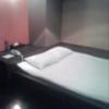 池袋パークサイドホテル(豊島区/ラブホテル)の写真『207号室 ベッドはダブルで広かったです。』by セイムス