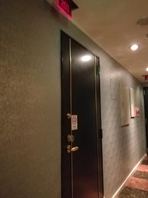 ノアノア(川崎市川崎区/ラブホテル)の写真『203号室利用。入口です。禁煙室でした。』by キジ