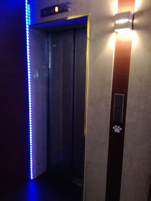 湘南シレーヌ(平塚市/ラブホテル)の写真『208号室利用。エレベーターです。足跡が可愛いです。』by キジ