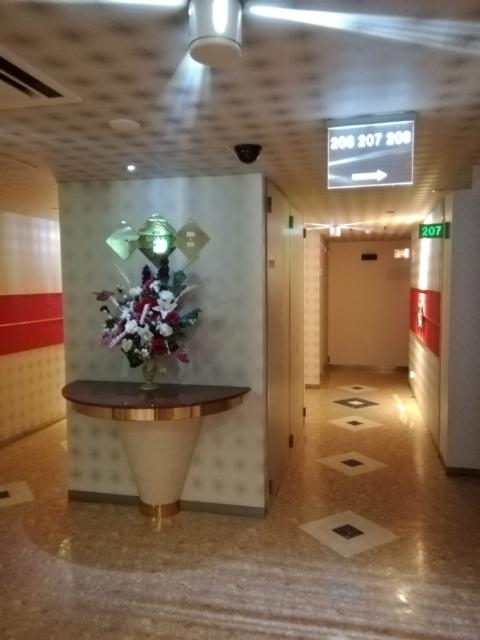 湘南シレーヌ(平塚市/ラブホテル)の写真『208号室利用。2階フロアです。ここまではお洒落な感じです。』by キジ