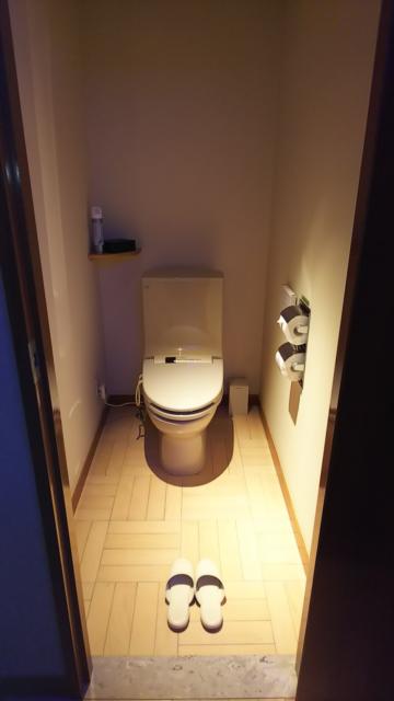 Water Hotel cy(ウォーターホテルシー)(町田市/ラブホテル)の写真『40号室トイレ』by ランベア