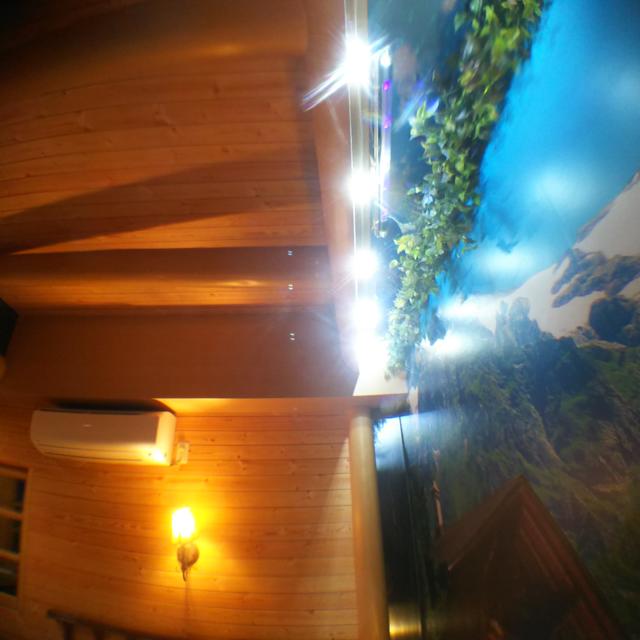 マナ・ハウス(蕨市/ラブホテル)の写真『407号室  ベッド足側より内壁、頭上壁、天井を望む』by ルーリー９nine