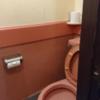 ドルフィン(新宿区/ラブホテル)の写真『302号室 トイレ』by なめろう