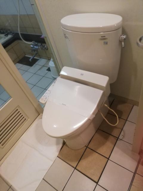 HOTEL LIDO（リド）(江戸川区/ラブホテル)の写真『505号 トイレ』by ところてんえもん