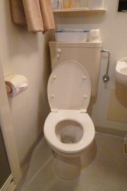 HOTEL Fine(ファイン)(新宿区/ラブホテル)の写真『306号室（トイレ。久々にウォシュレットでないトイレを見ました）』by 格付屋