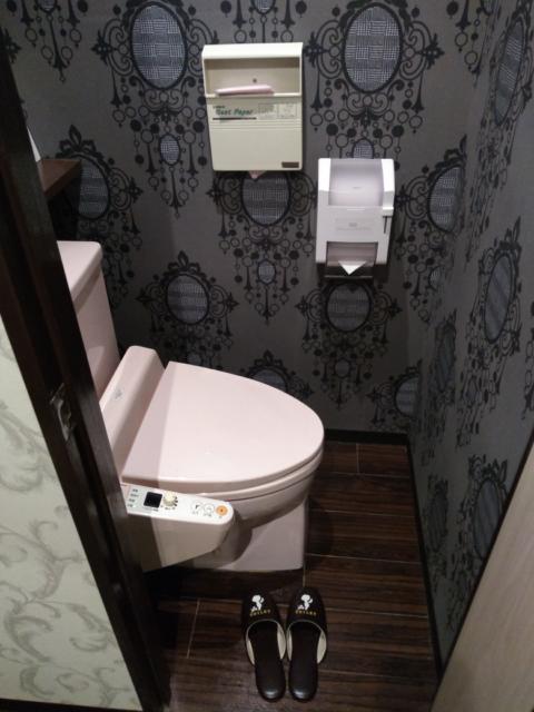 ラブフェアリー(町田市/ラブホテル)の写真『206号室 トイレ』by ましりと
