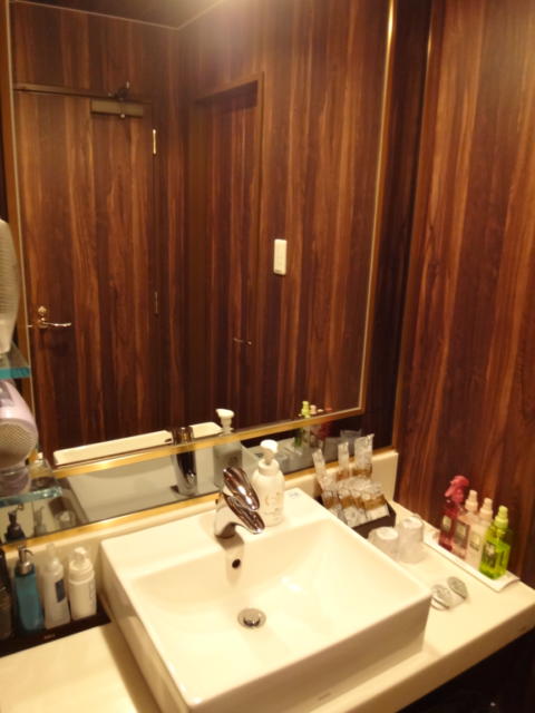 STARGATE HOTEL(スターゲート)(横浜市中区/ラブホテル)の写真『302号室 洗面台』by Plumper