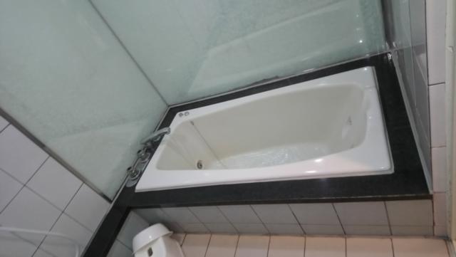 HOTEL LIDO（リド）(江戸川区/ラブホテル)の写真『401号室　お風呂 ジェットバス』by かーたー