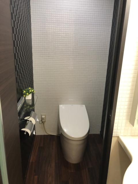 HOTEL アスタプロント(浜松市/ラブホテル)の写真『202号室トイレ』by 一刀流