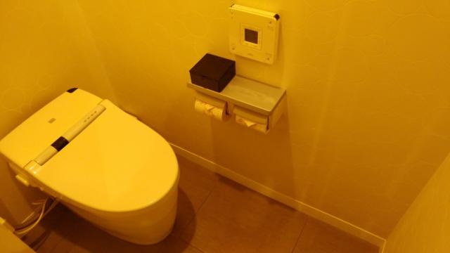 ホテルM(市川市/ラブホテル)の写真『701号室 トイレ』by 来栖