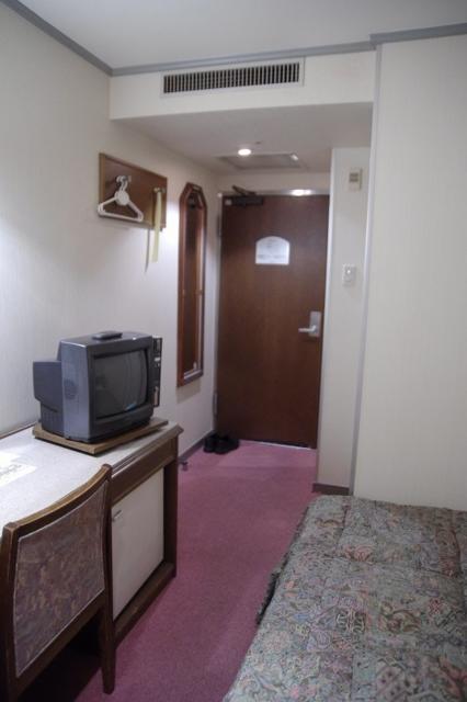 ホテルレイ(豊島区/ラブホテル)の写真『155号室　奥からの景色』by マーケンワン
