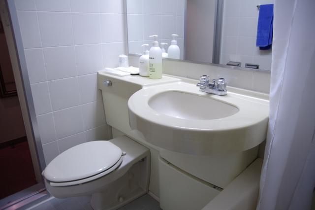 ホテルレイ(豊島区/ラブホテル)の写真『155号室　洗面台とトイレ』by マーケンワン