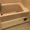 アネックス(川口市/ラブホテル)の写真『（202号室）浴槽。一回り小さいサイズでした。』by こーめー