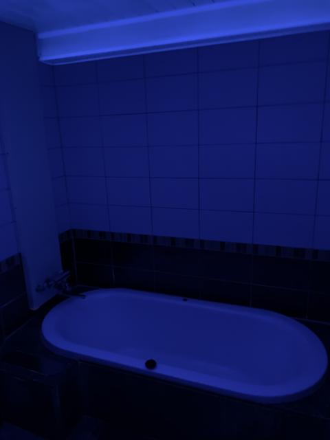 ホテルViVi(相模原市/ラブホテル)の写真『302号室の浴室』by miffy.GTI