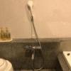 ホテル 館（YAKATA）(静岡市駿河区/ラブホテル)の写真『210号室　シャワー』by まさおJリーグカレーよ