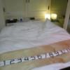 遊楽膳(新宿区/ラブホテル)の写真『202号室(ベッドは150センチ型枠なし)』by 格付屋