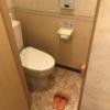 ホテル101(浜松市/ラブホテル)の写真『14号室 トイレ』by ま〜も〜る〜
