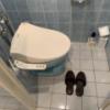 ホテルSAVOY(台東区/ラブホテル)の写真『306号室 トイレ』by mee